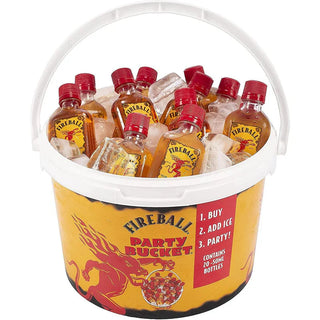 Fireball Cinnamon Whisky Party Cooler 20 Pack