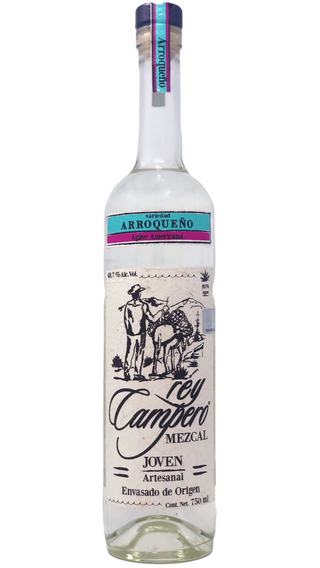 Rey Campero Arroqueño (Joven)